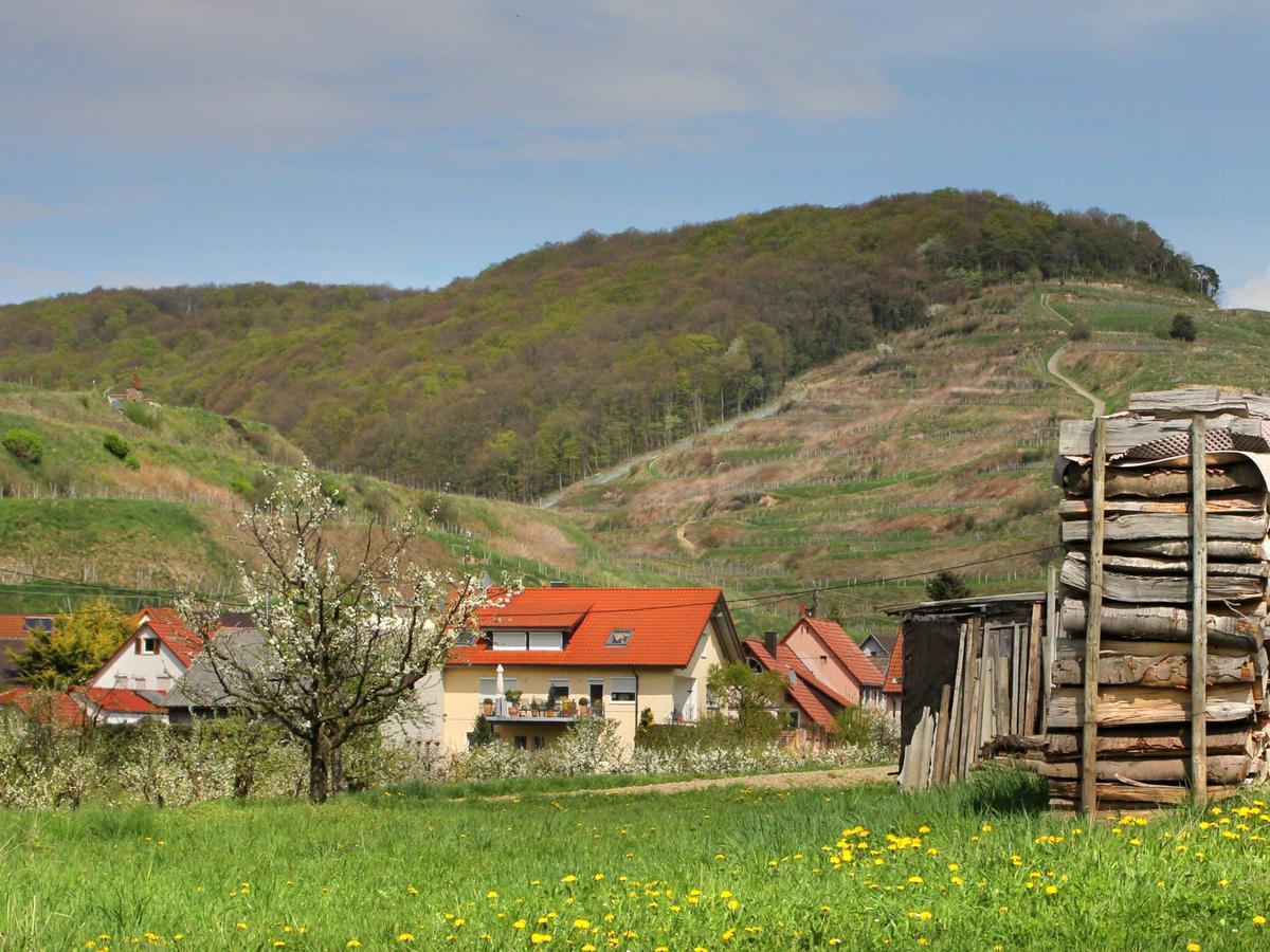 Graf * Vogtsburg